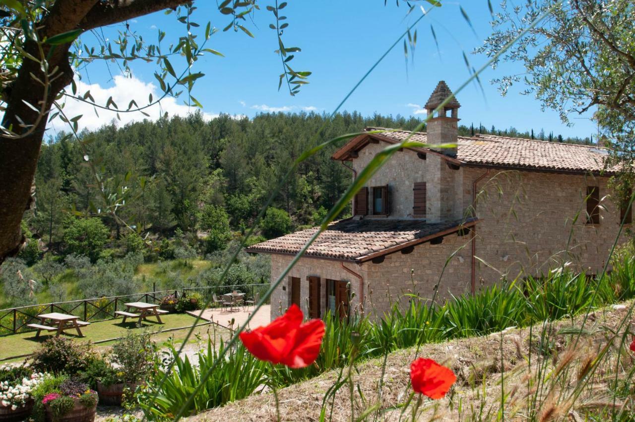 Agriturismo Molino Verde Montecchio  Екстериор снимка