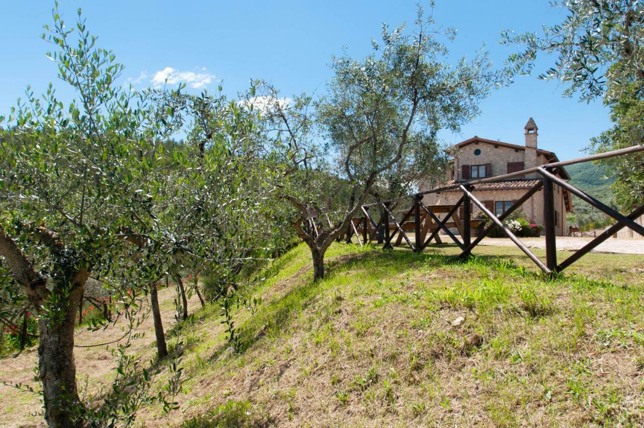 Agriturismo Molino Verde Montecchio  Екстериор снимка