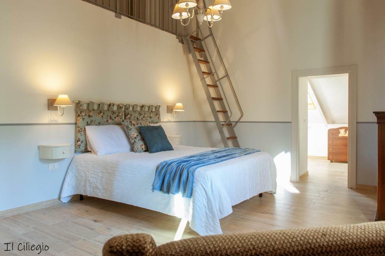 Agriturismo Molino Verde Montecchio  Екстериор снимка