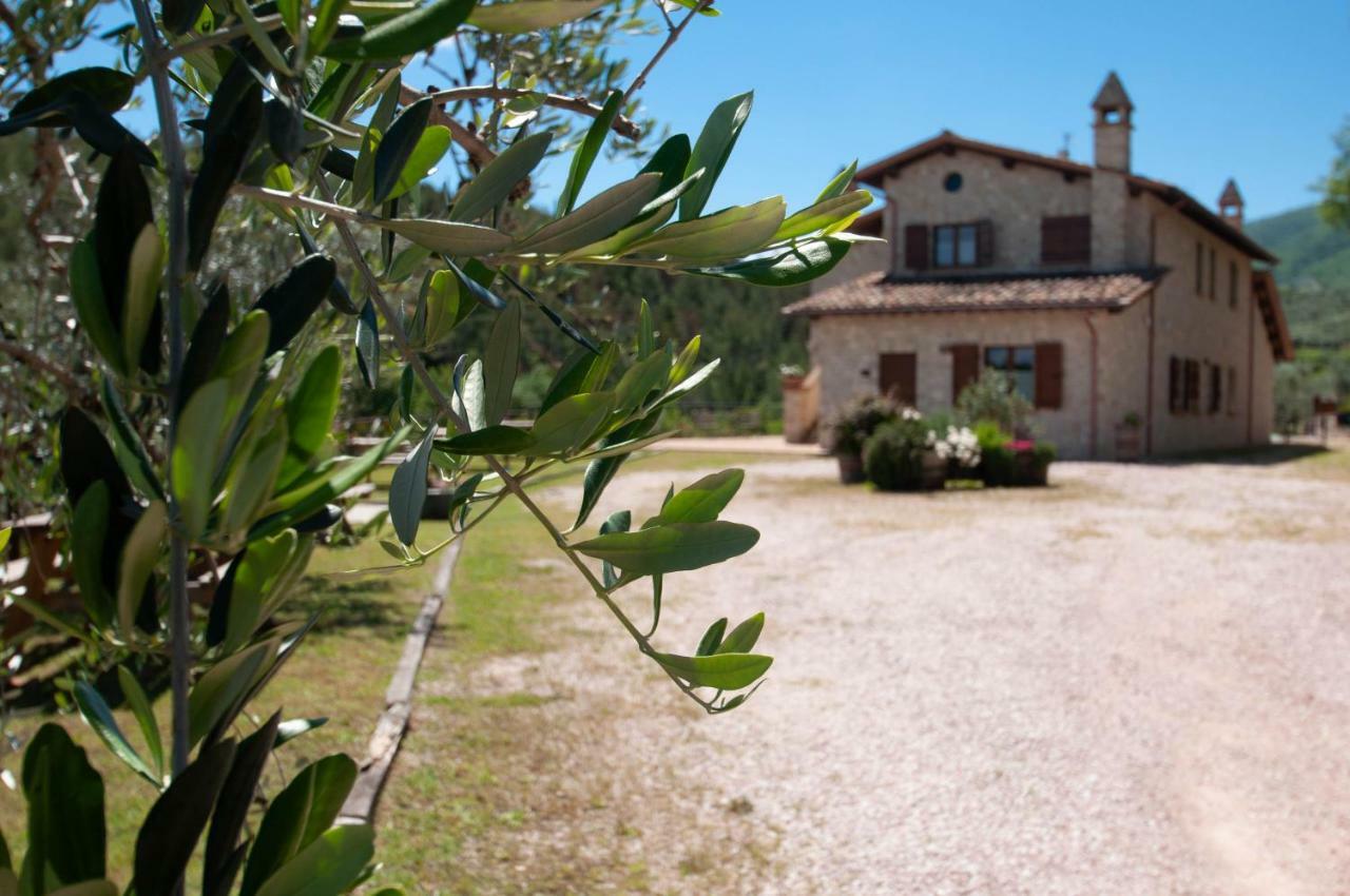 Agriturismo Molino Verde Montecchio  Екстериор снимка