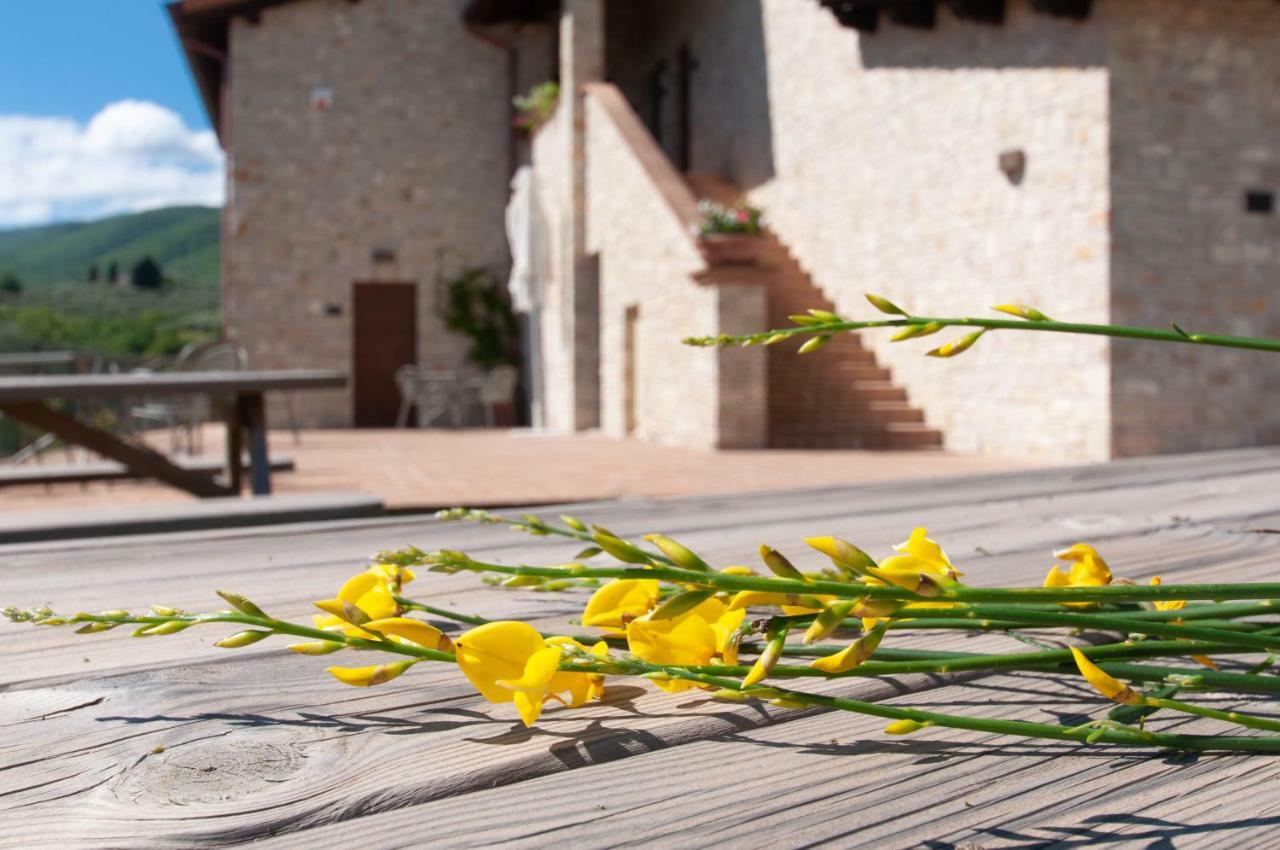 Agriturismo Molino Verde Montecchio  Екстериор снимка