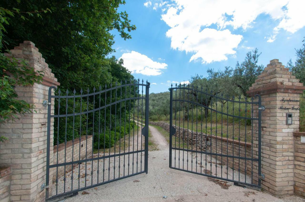 Agriturismo Molino Verde Montecchio  Екстериор снимка
