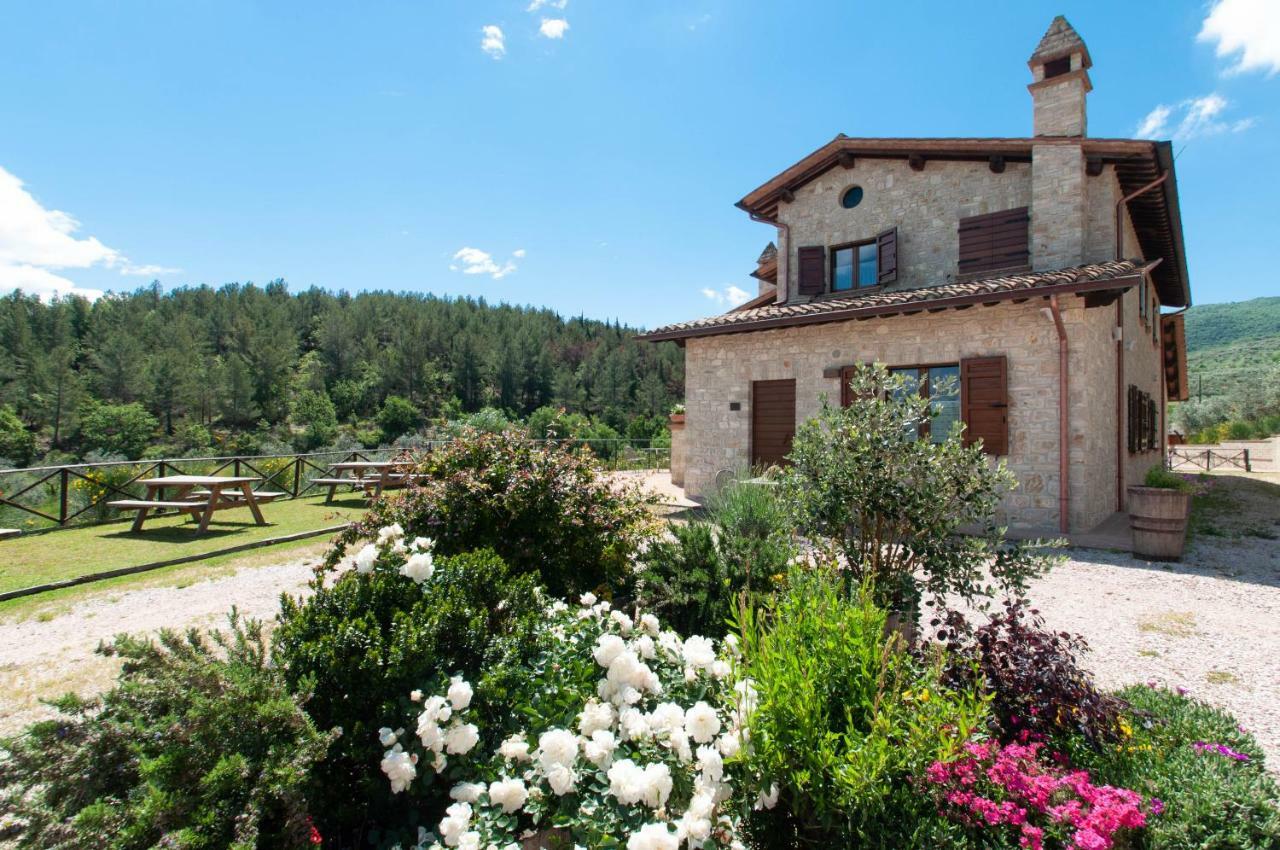 Agriturismo Molino Verde Montecchio  Екстериор снимка